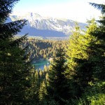 ...f&uuml;r blauen See.